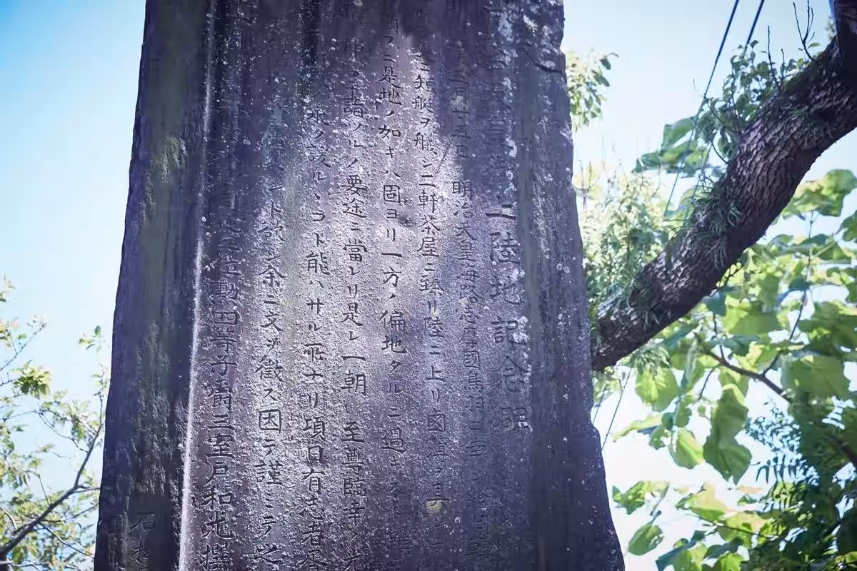 画像4