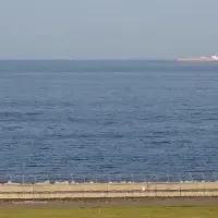 セントレア草文字
