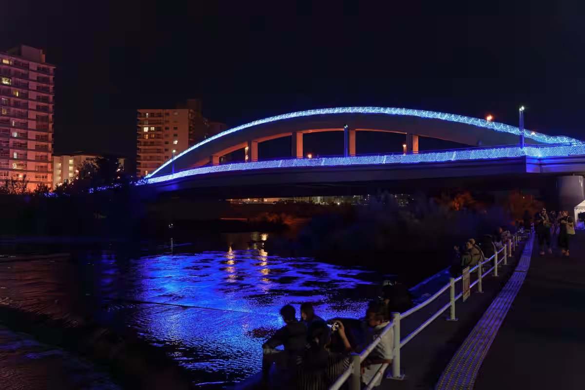 画像6