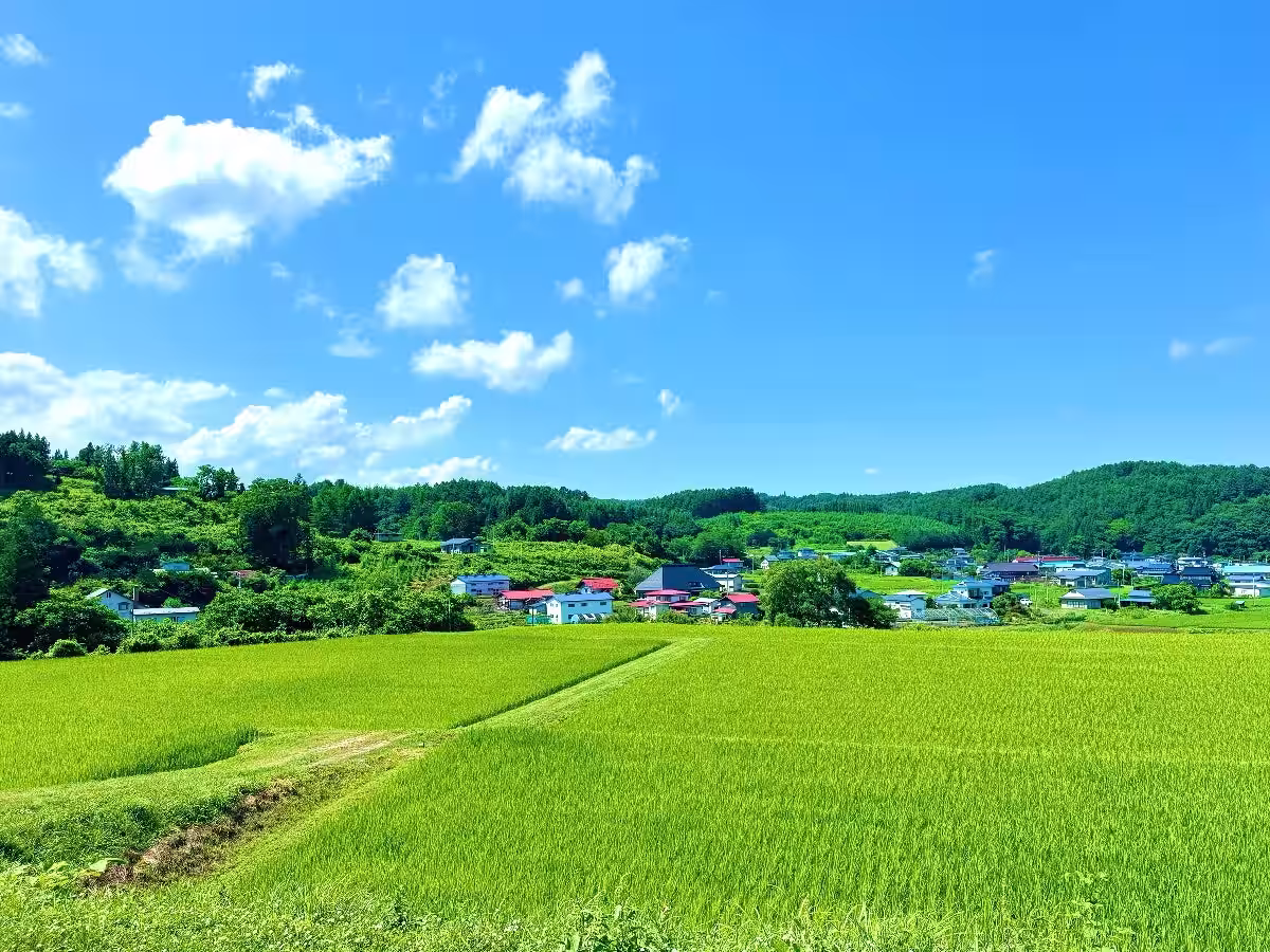 画像6