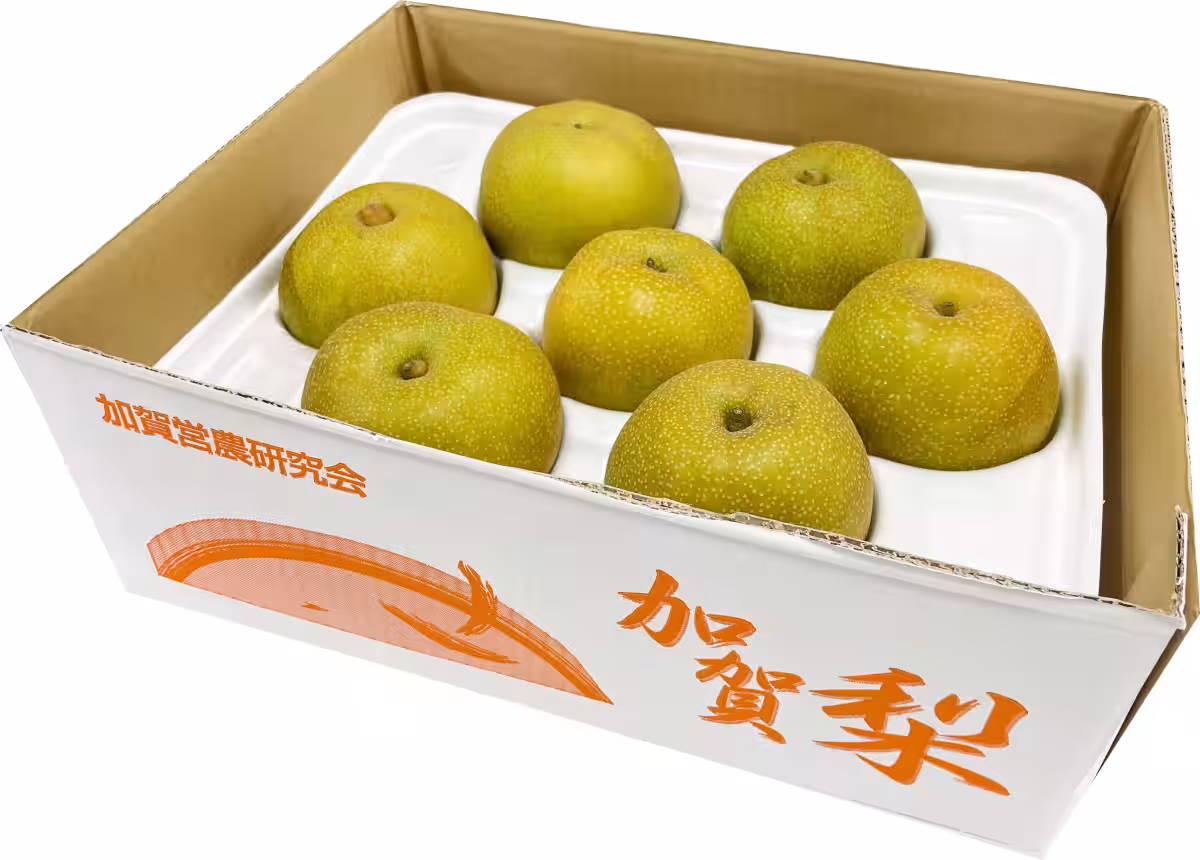 画像4