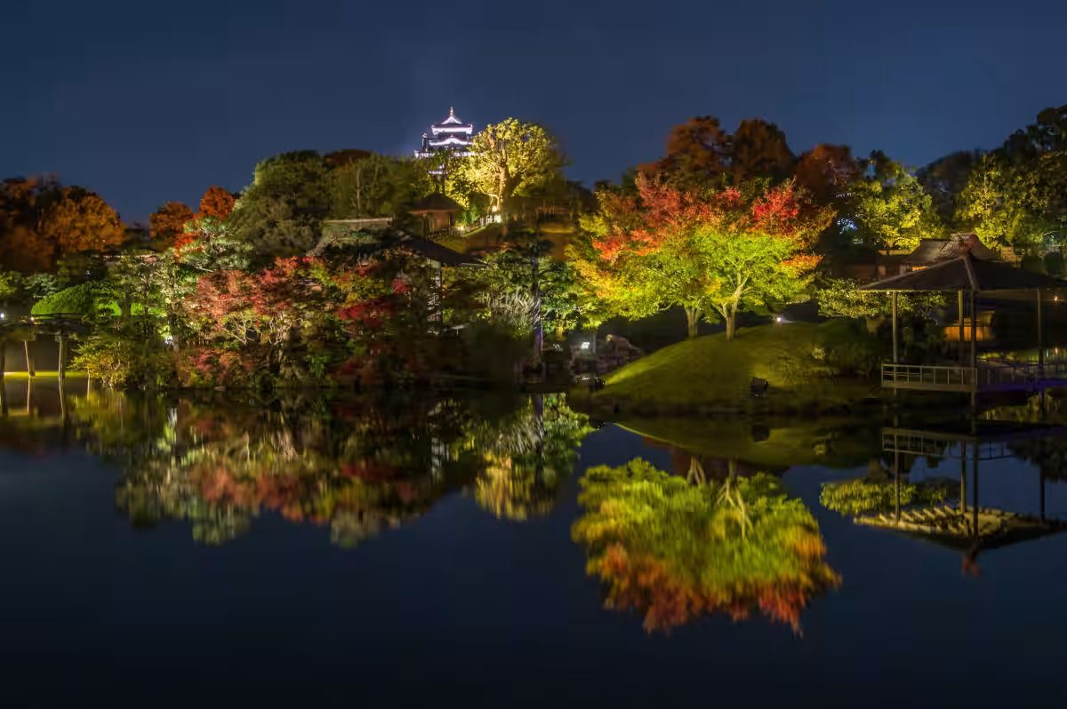 画像12