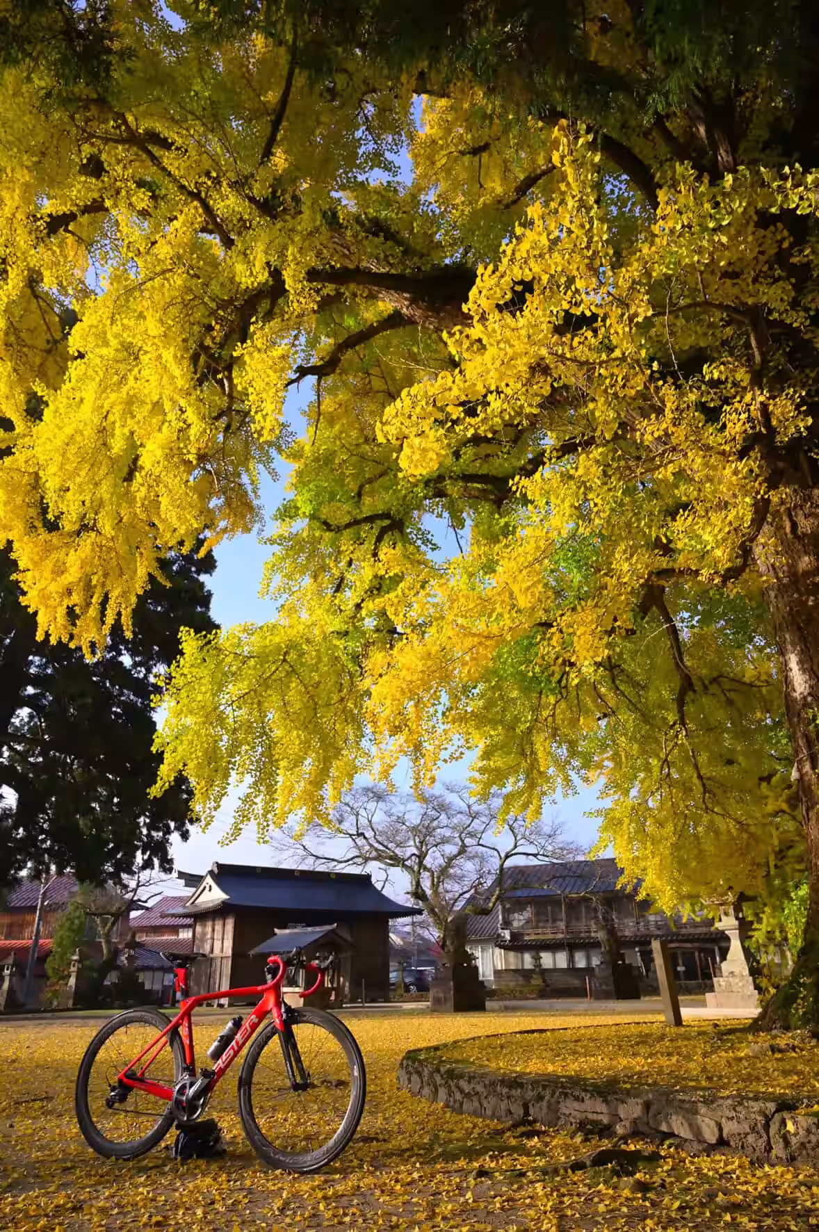 画像14