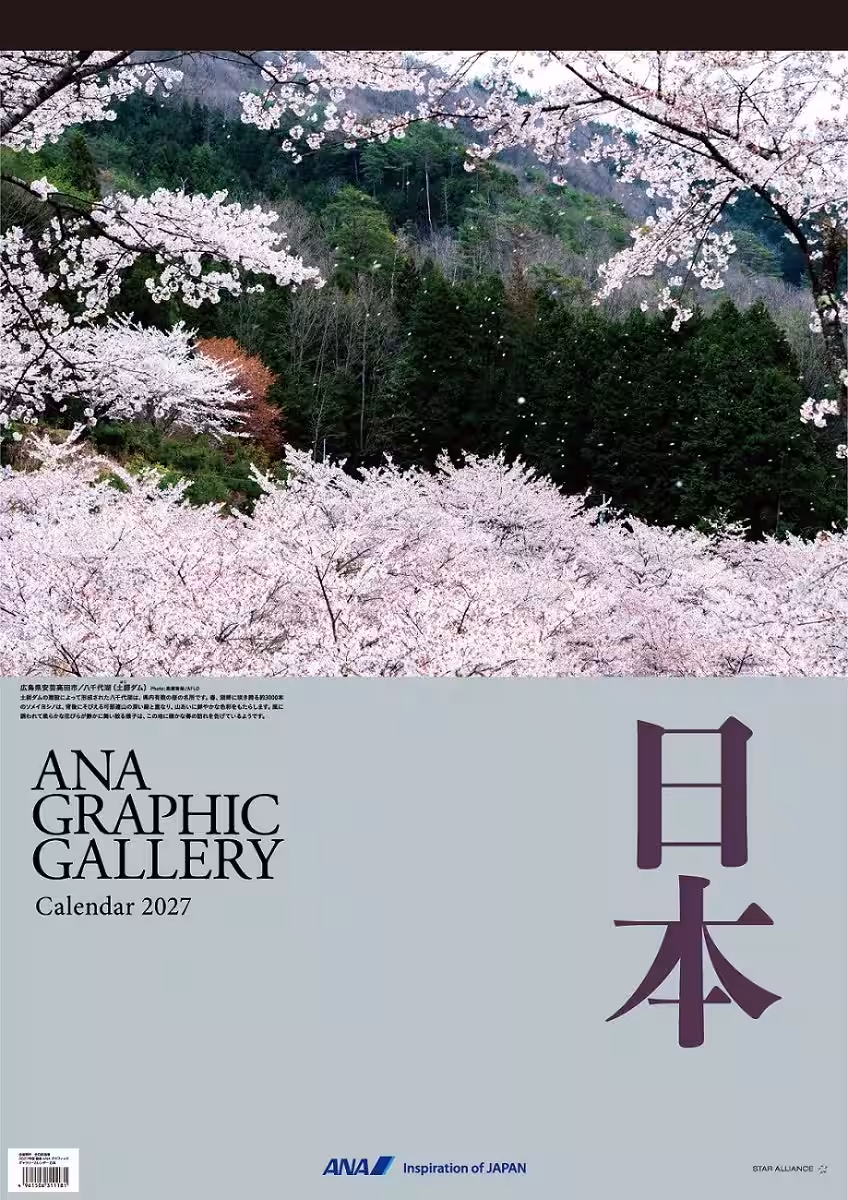 画像14