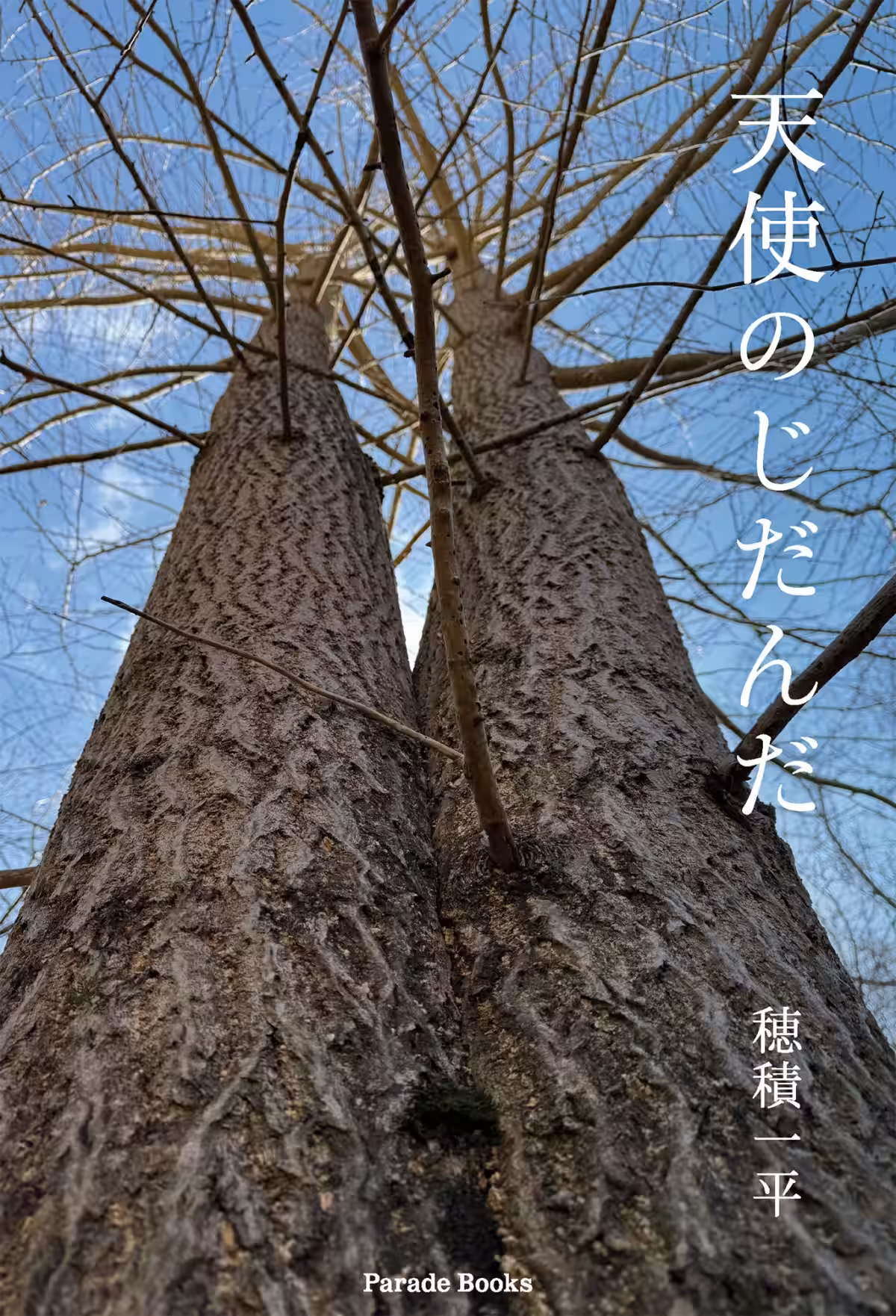 画像1
