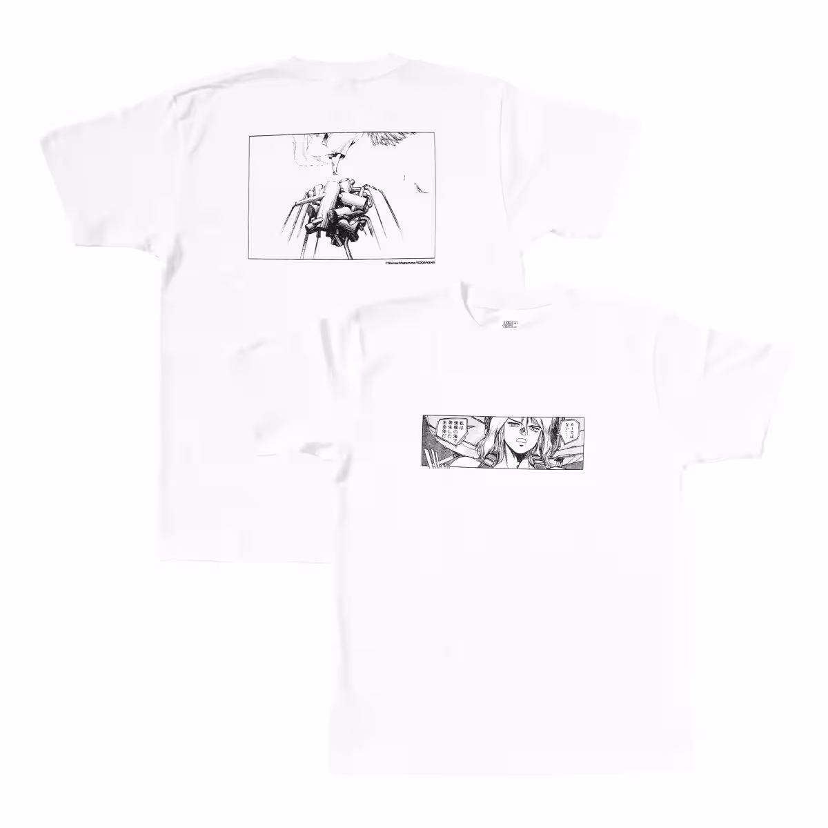 画像12