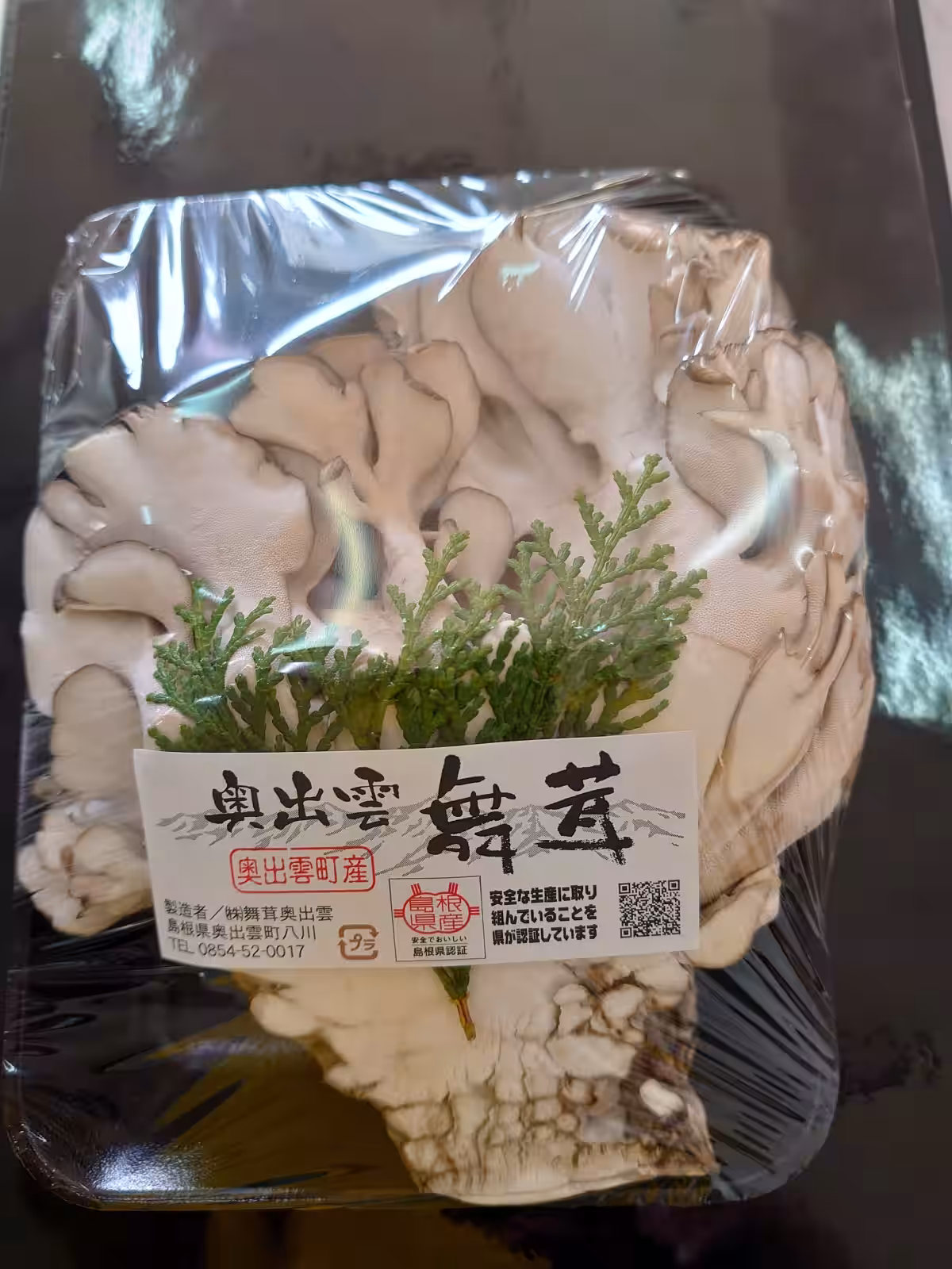 画像7