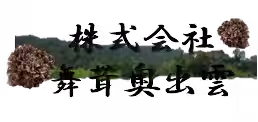 画像15