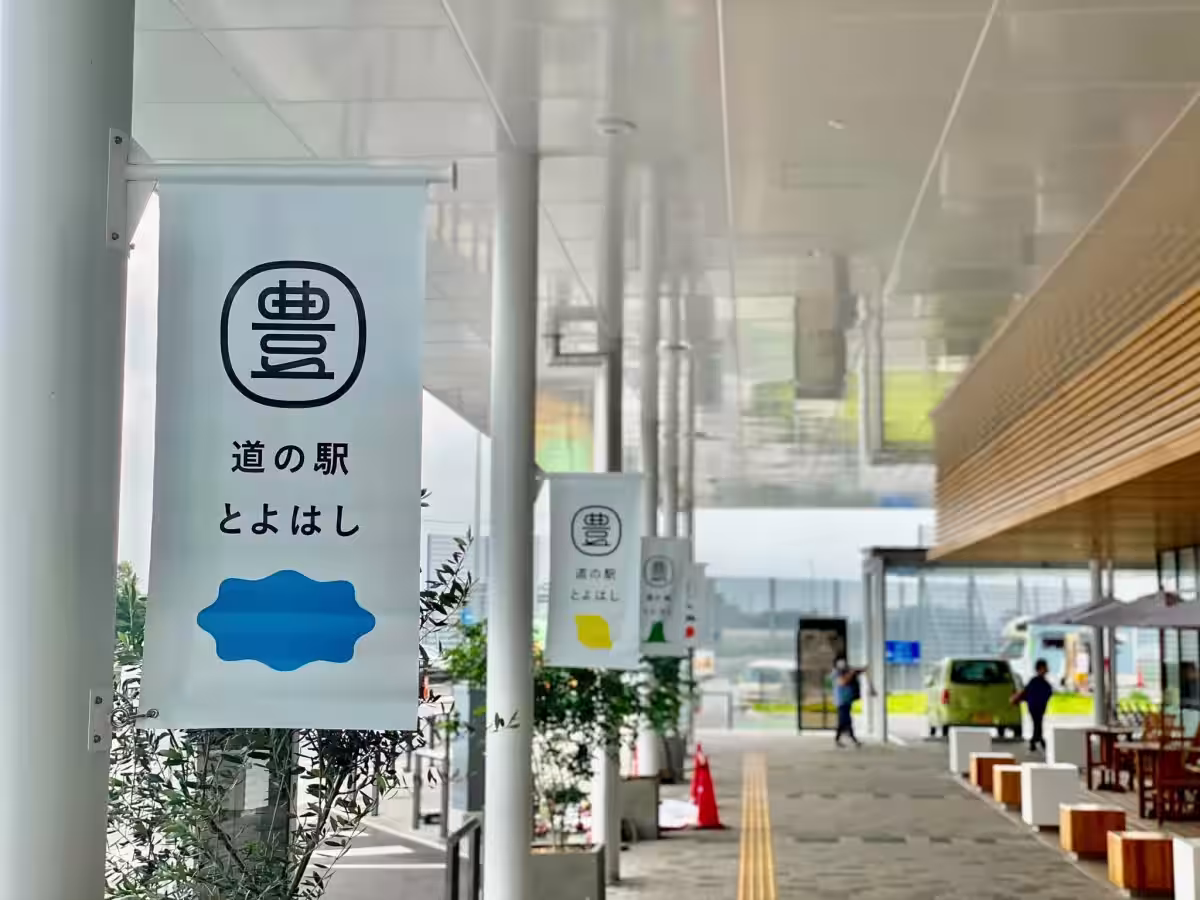 画像11
