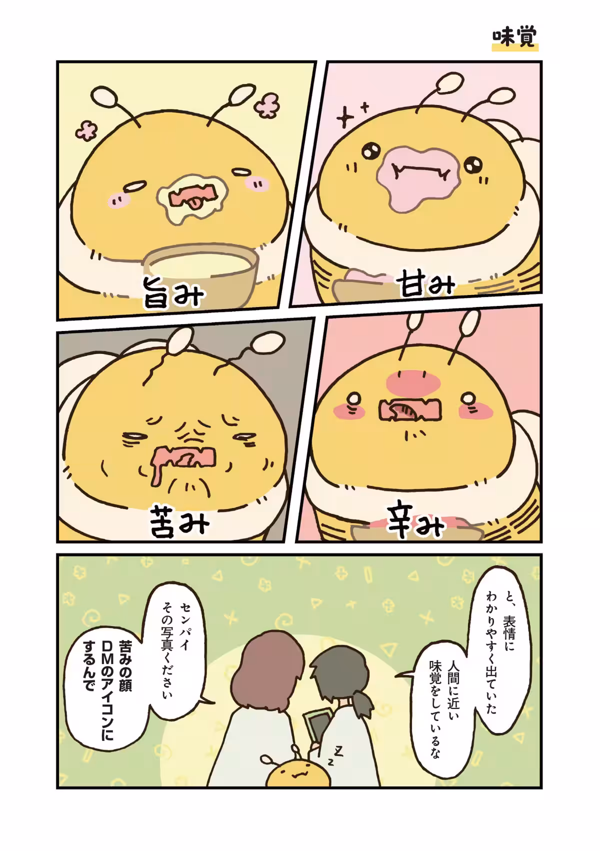 画像8