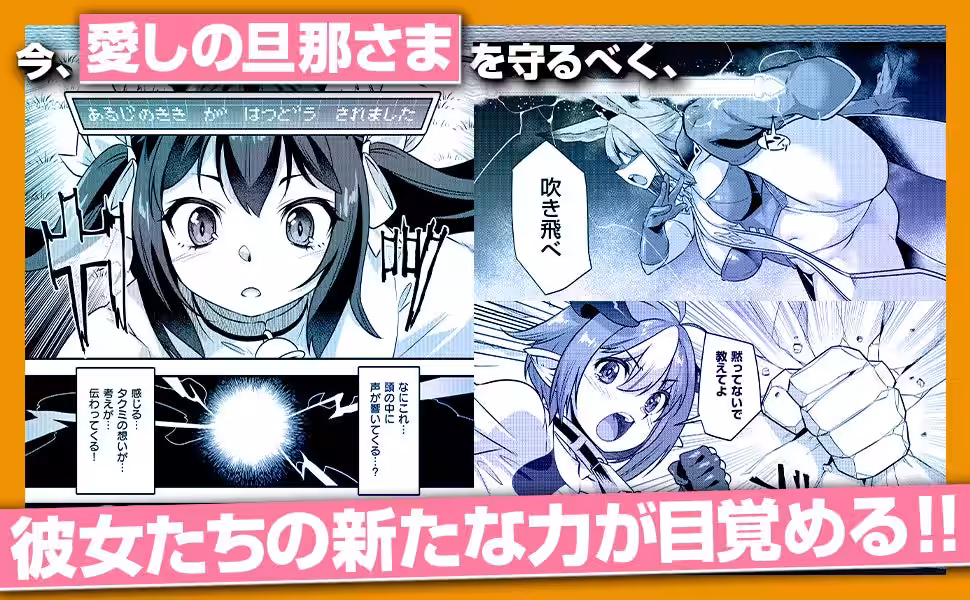 画像14