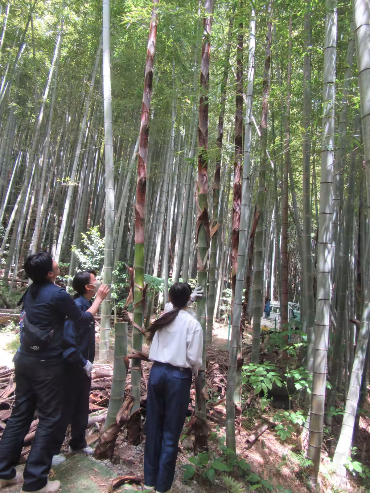 画像2