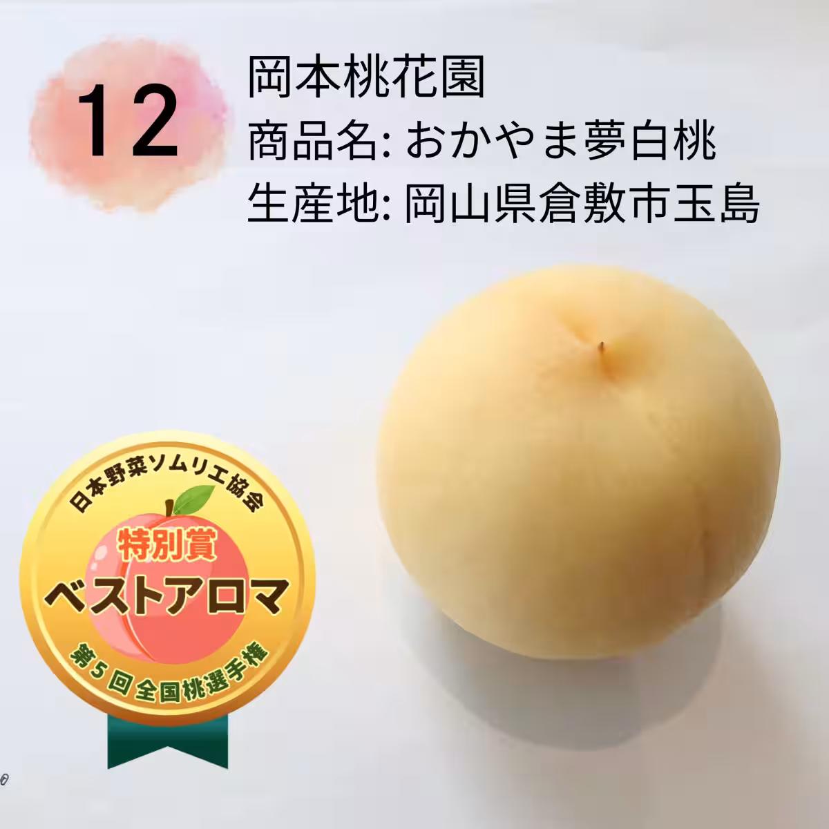 画像12