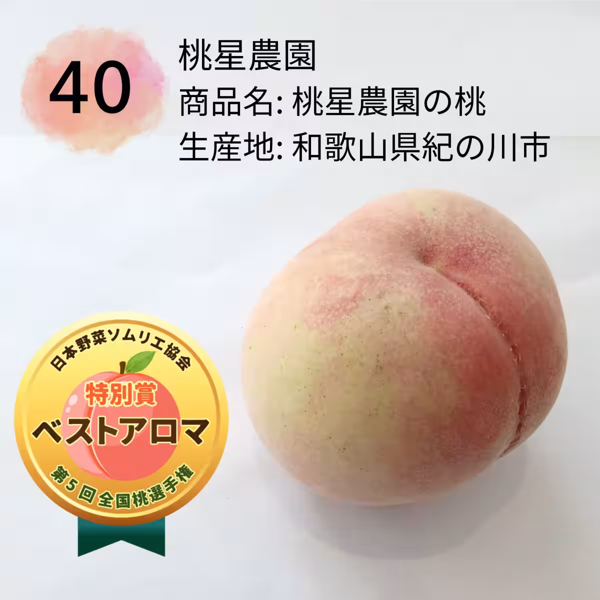 画像13