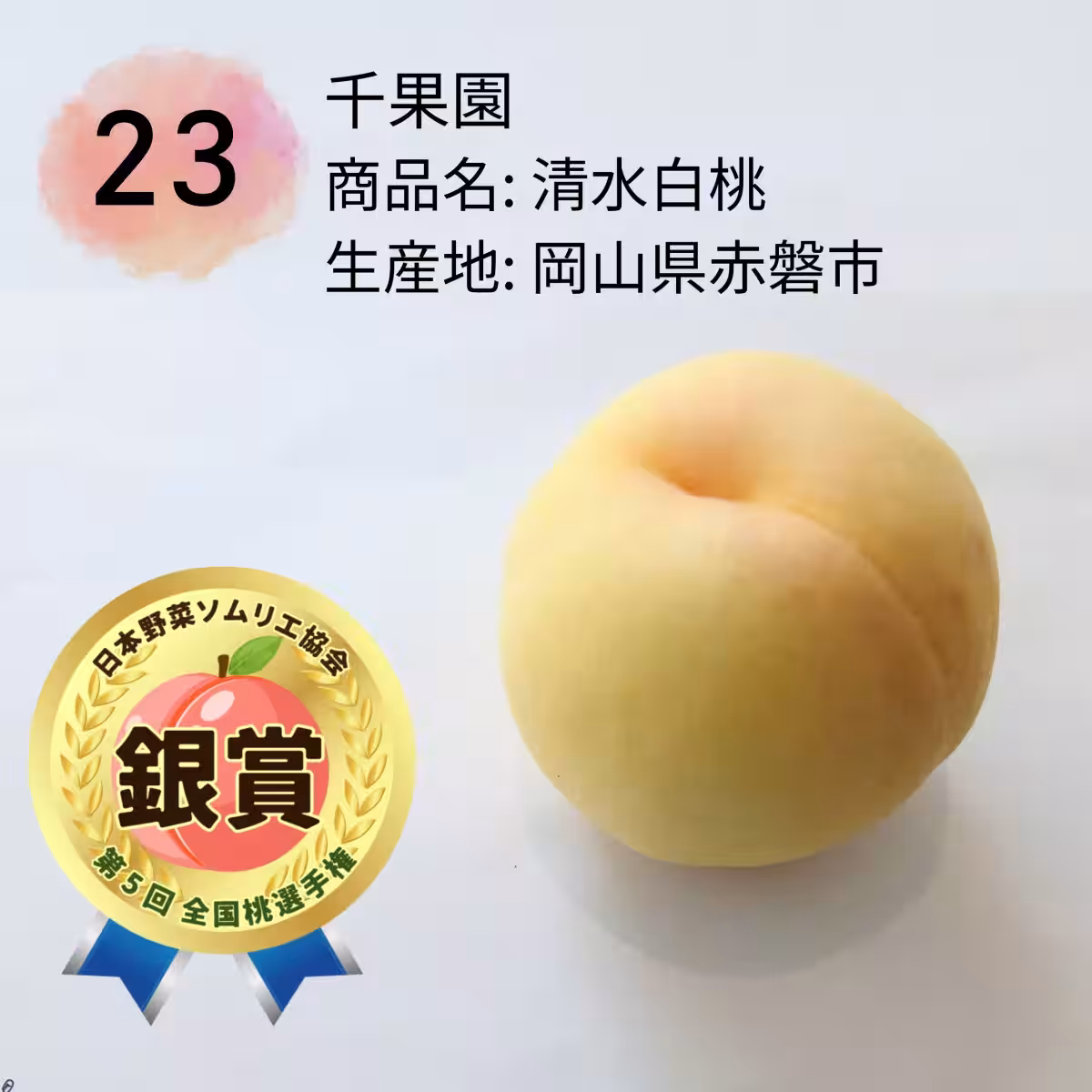 画像8