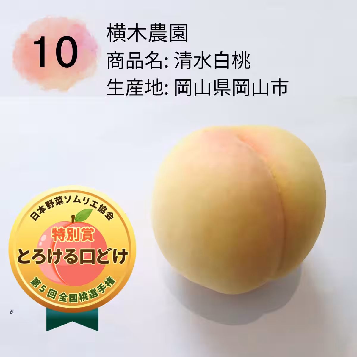 画像10