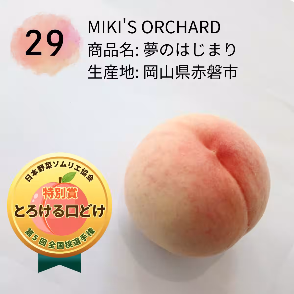 画像11