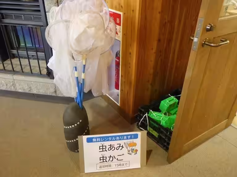 画像14