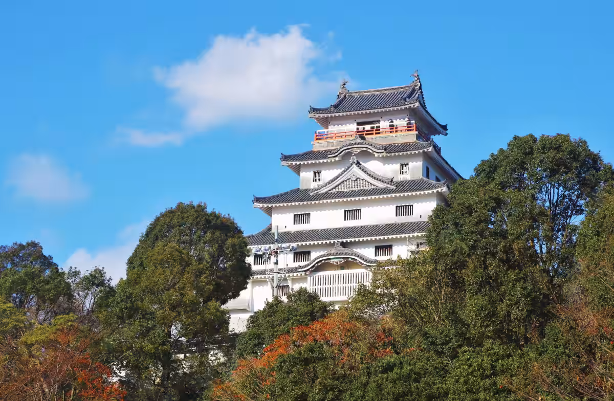 画像8