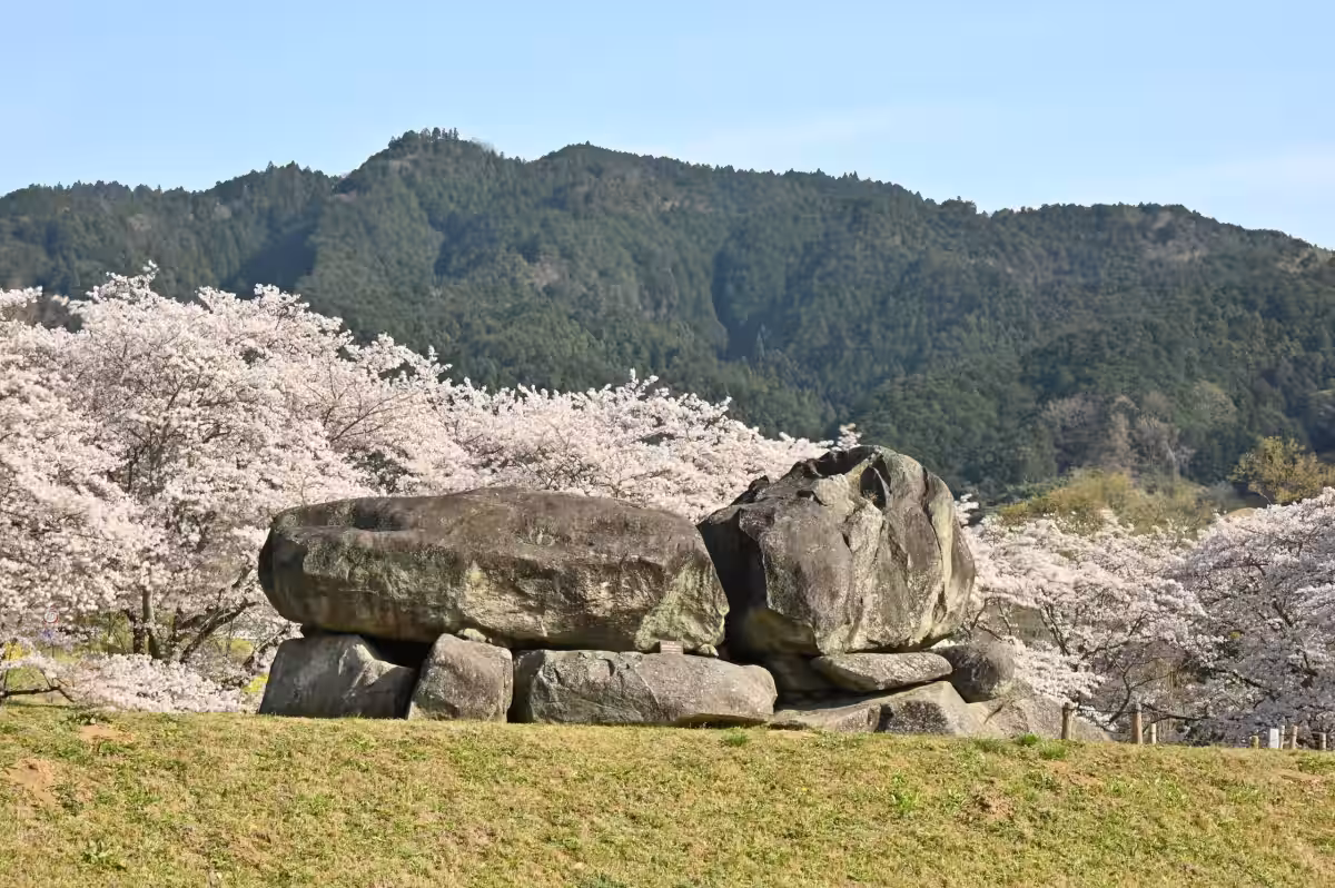 画像8