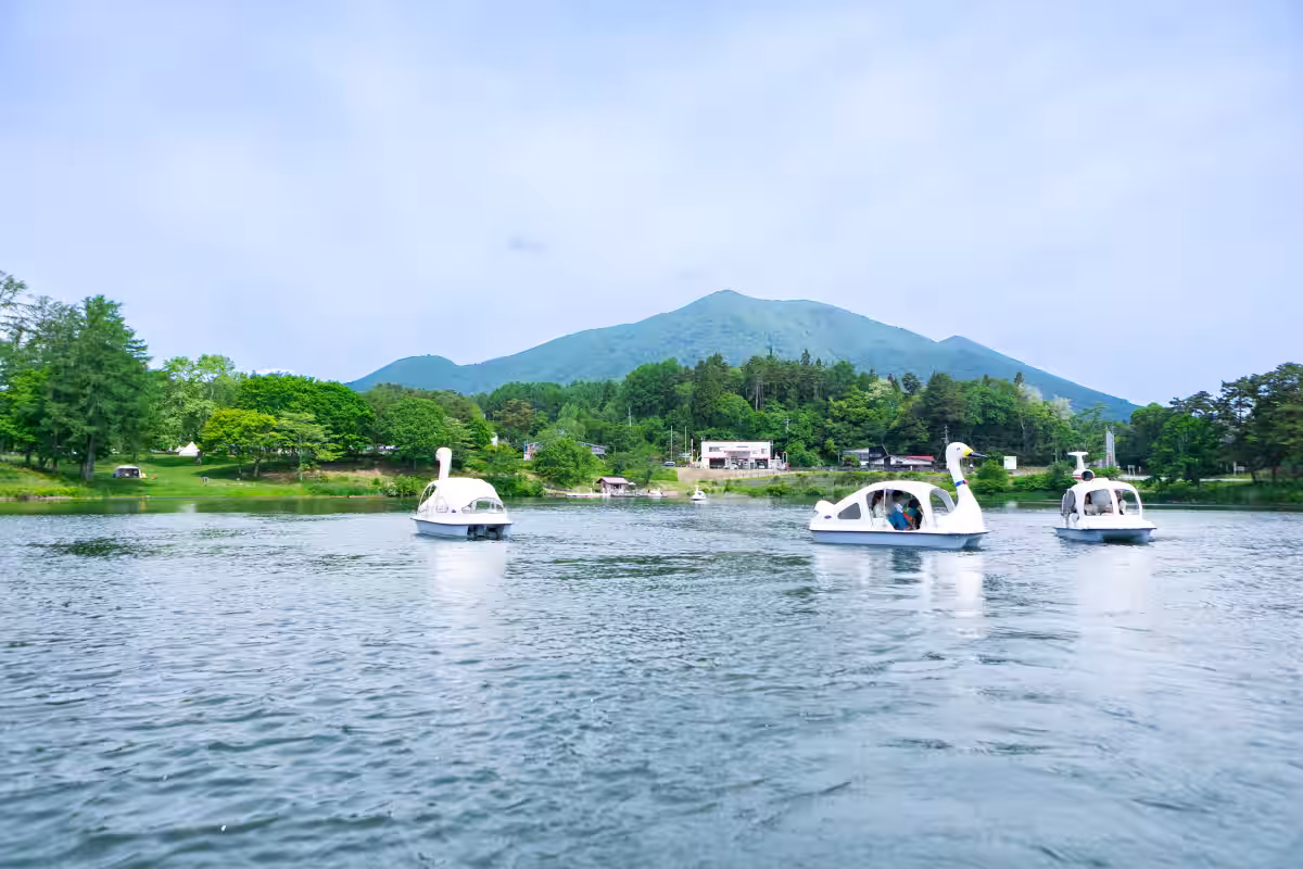 画像7