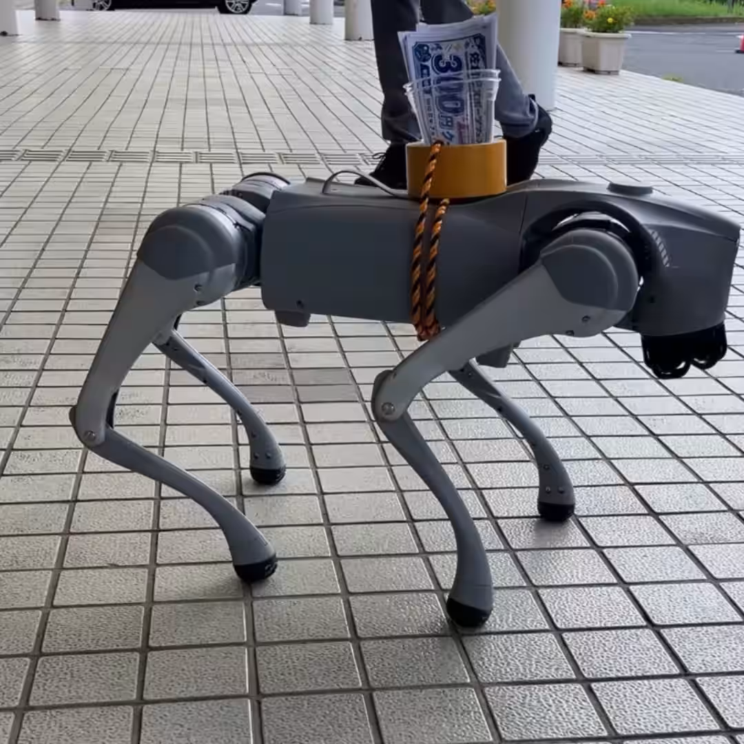 画像5