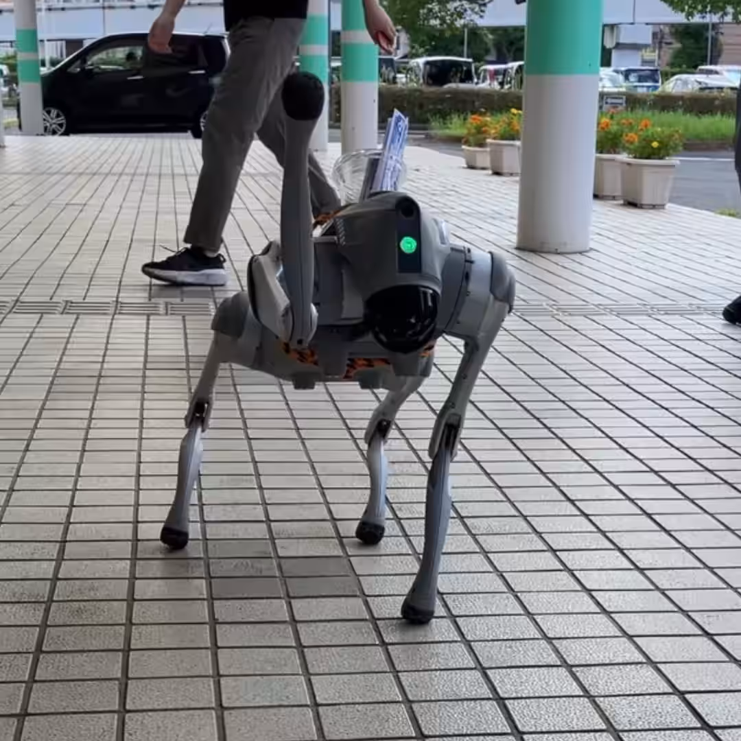 画像4
