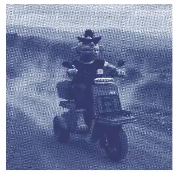 画像9