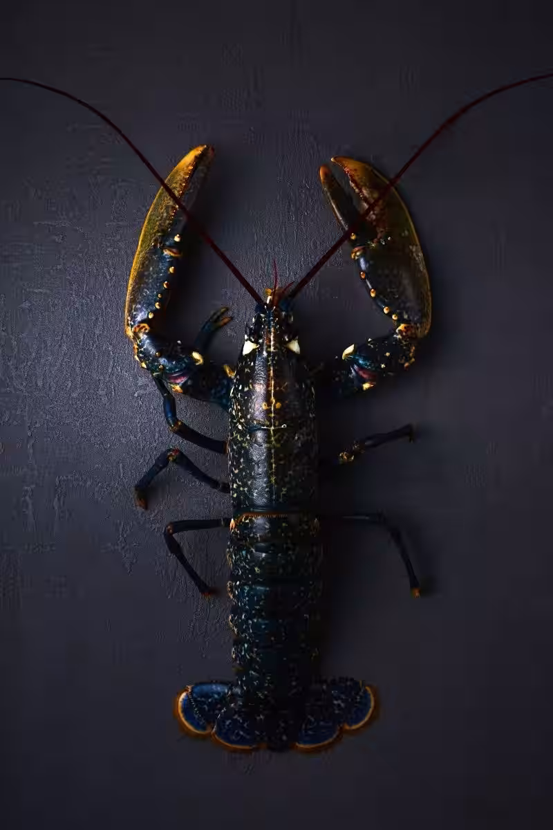 画像9