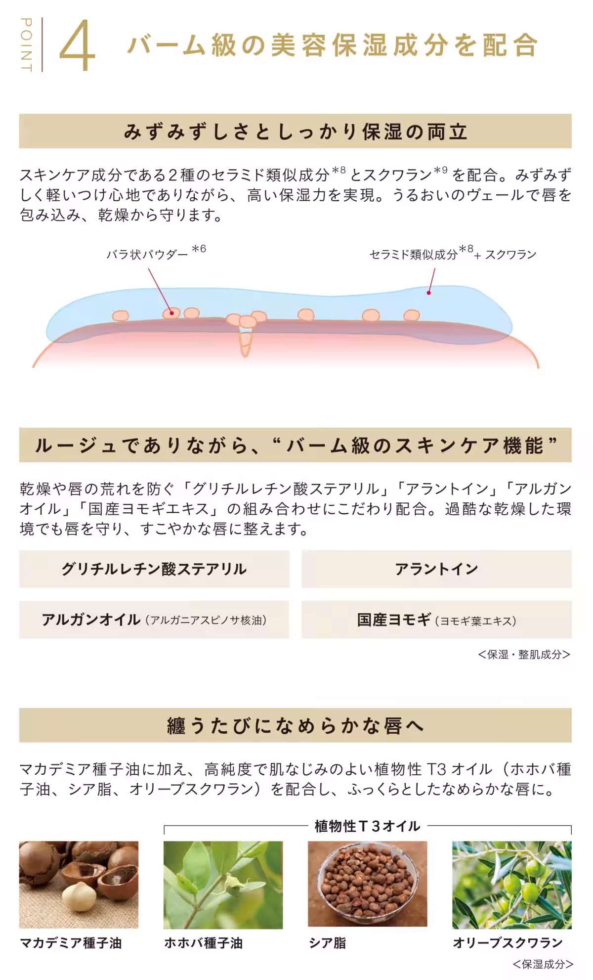 画像14