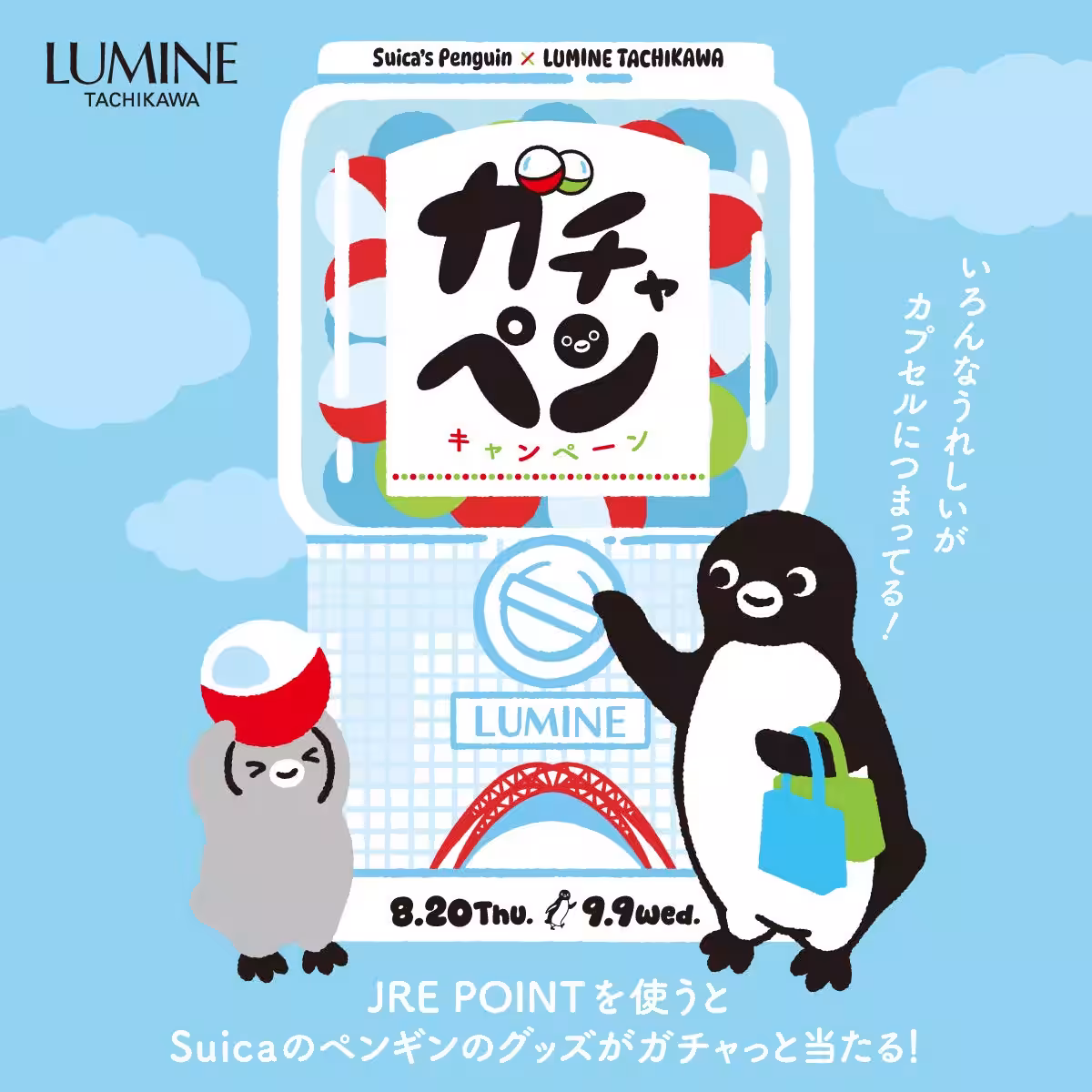 画像9