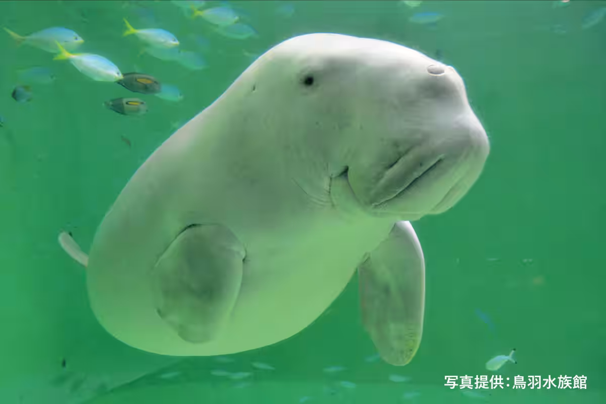 画像16