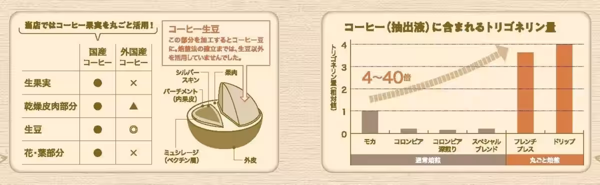 画像15
