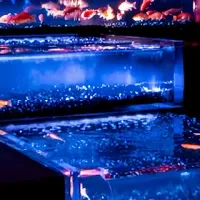 アートアクアリウム名古屋