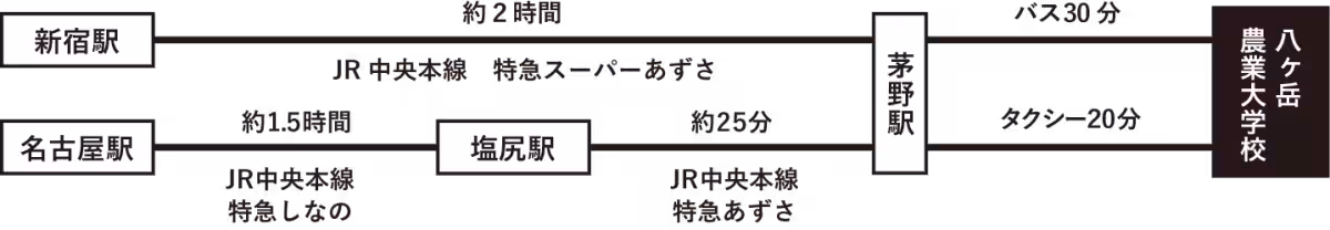 画像12