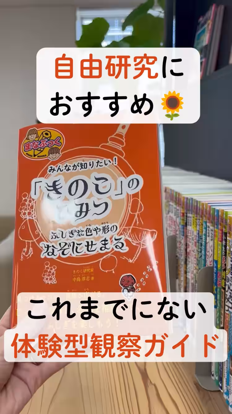 画像8
