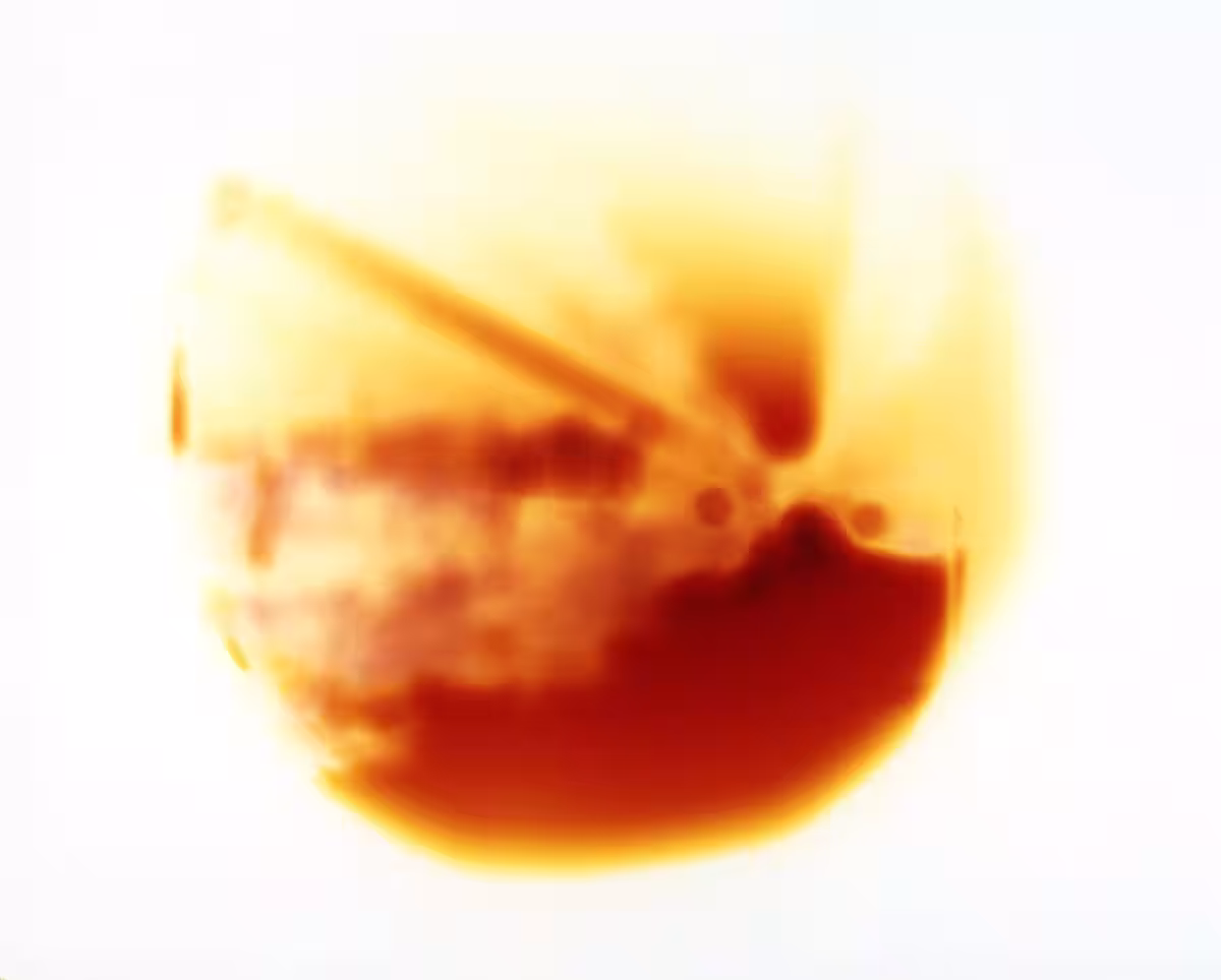 画像9