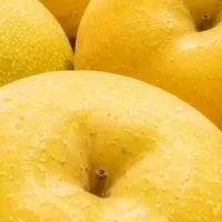 千葉の味を探る
