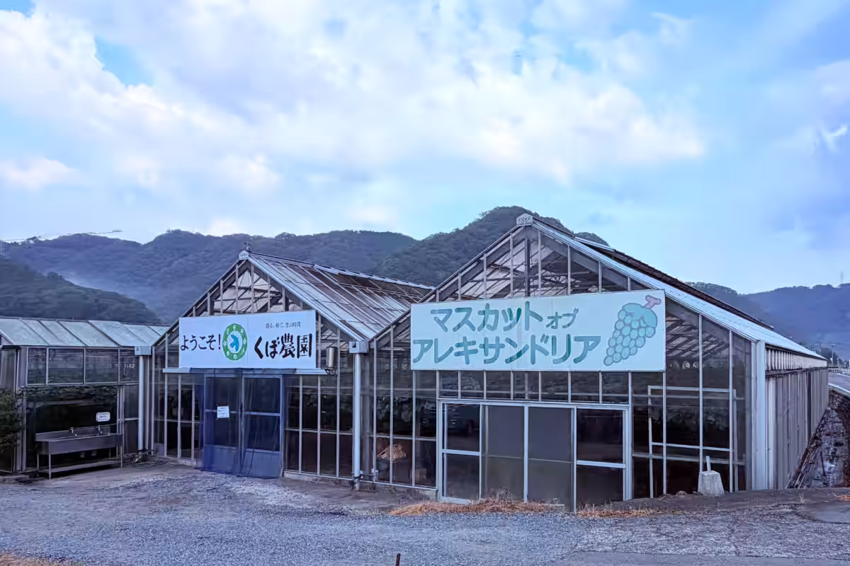 画像12