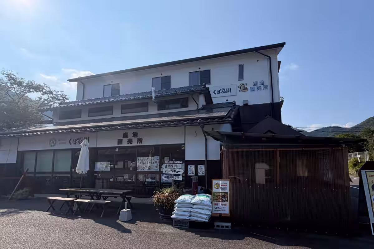 画像11