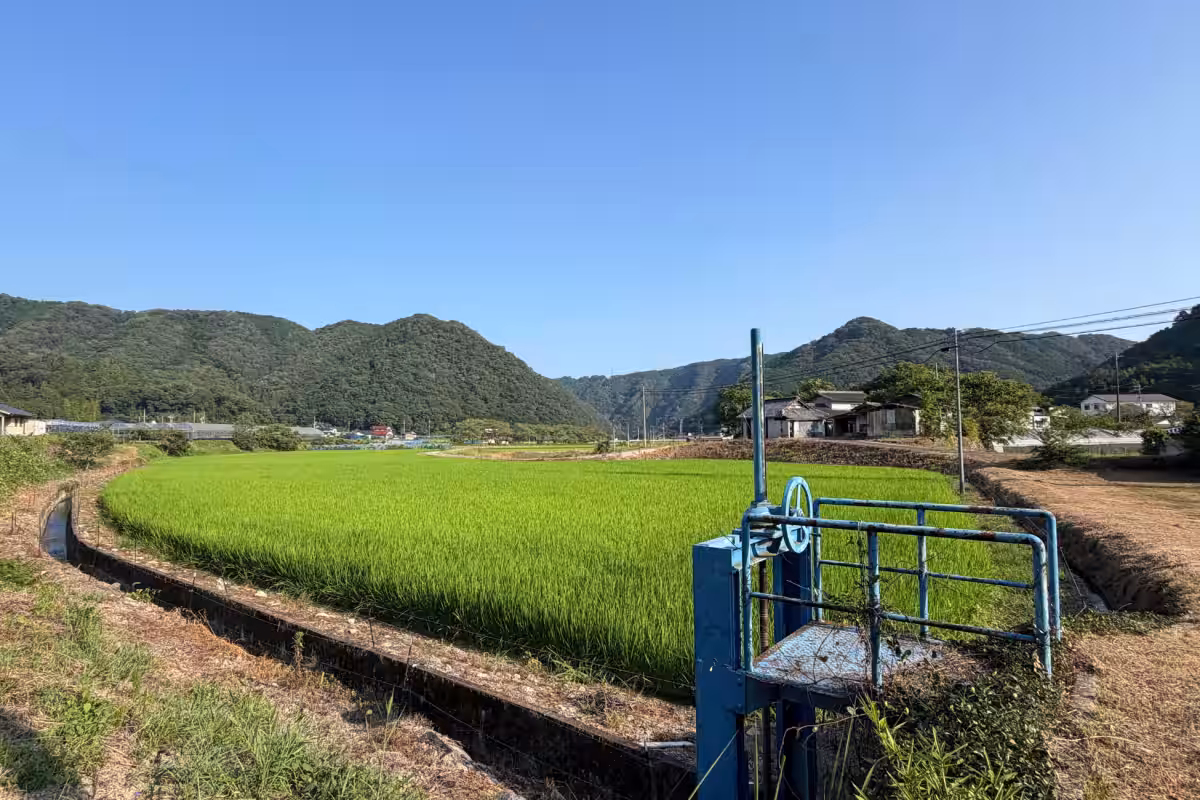 画像13