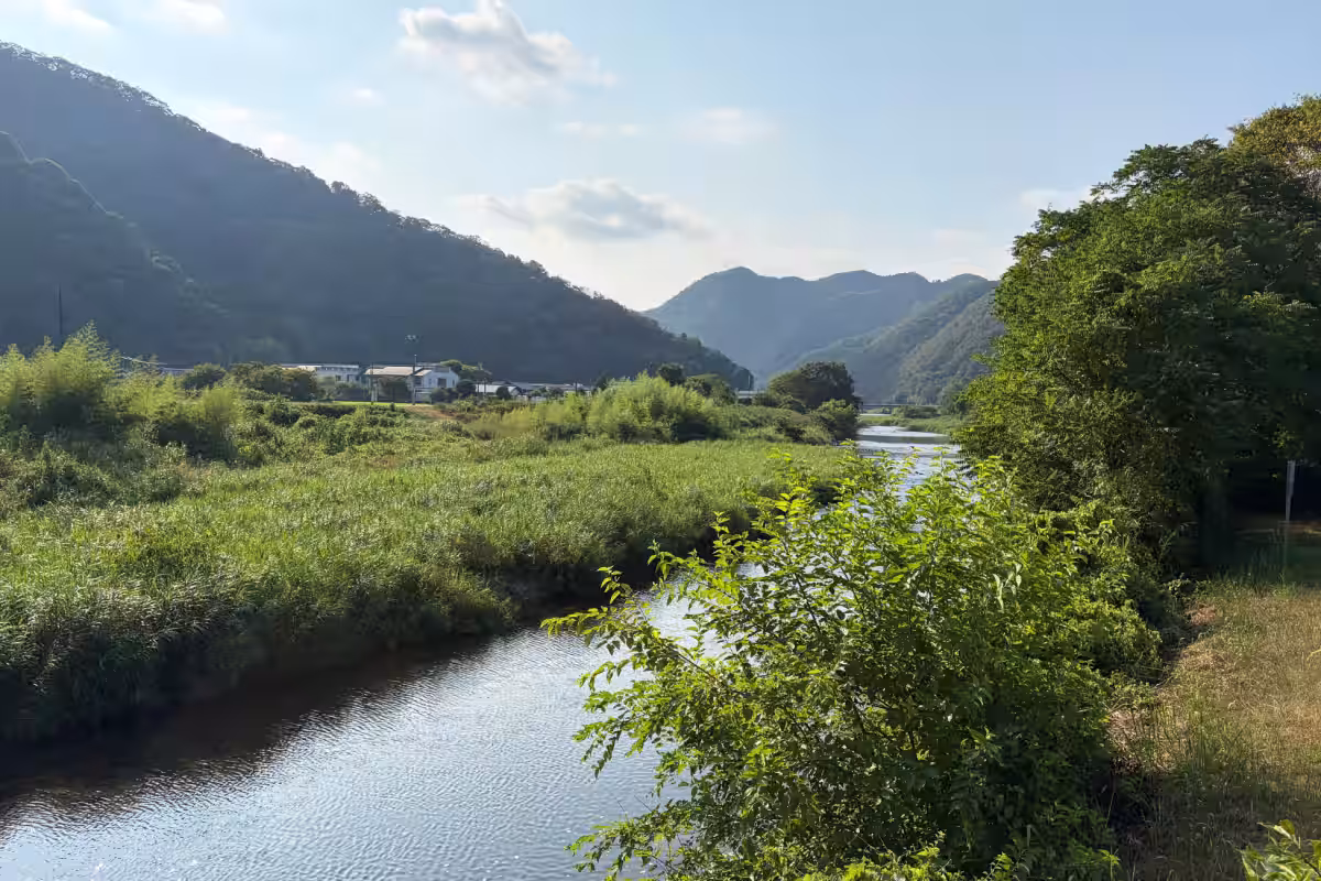 画像15