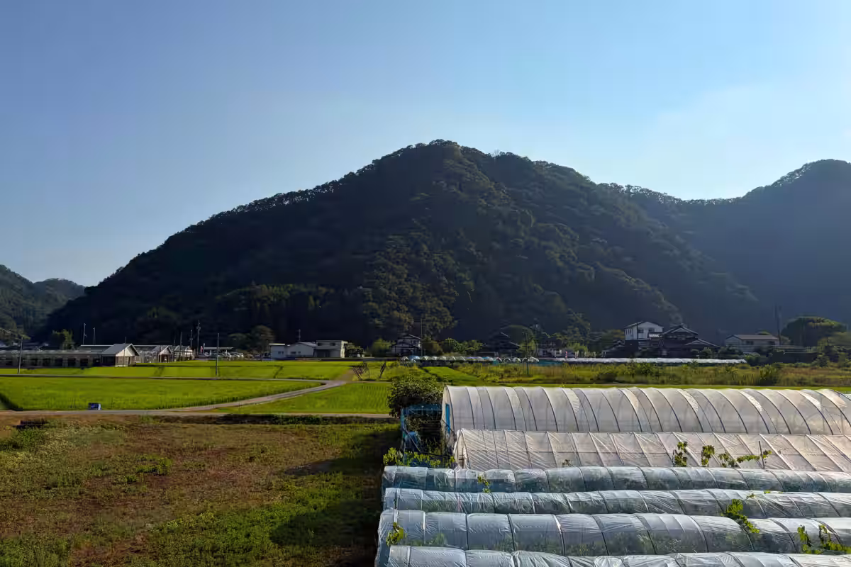 画像14