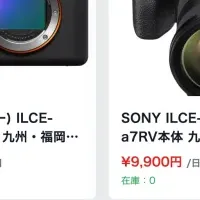 POINTYES-RENTAL登場