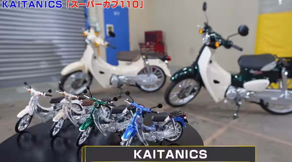 画像17