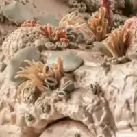 リヤドロ新作展示