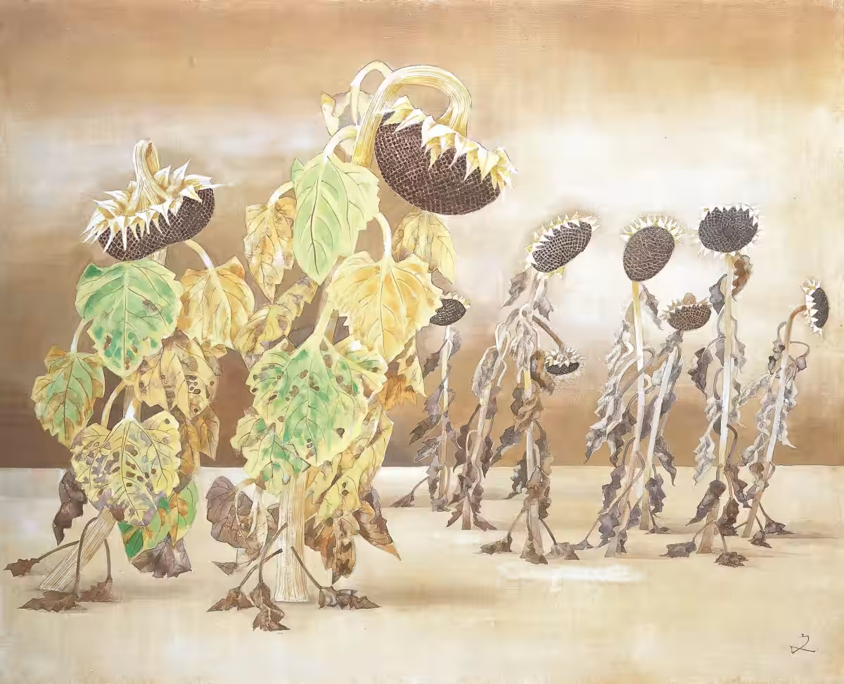 画像12