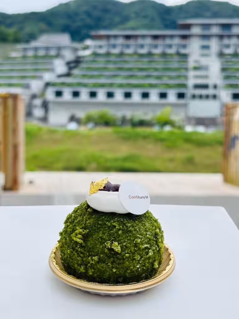 画像8
