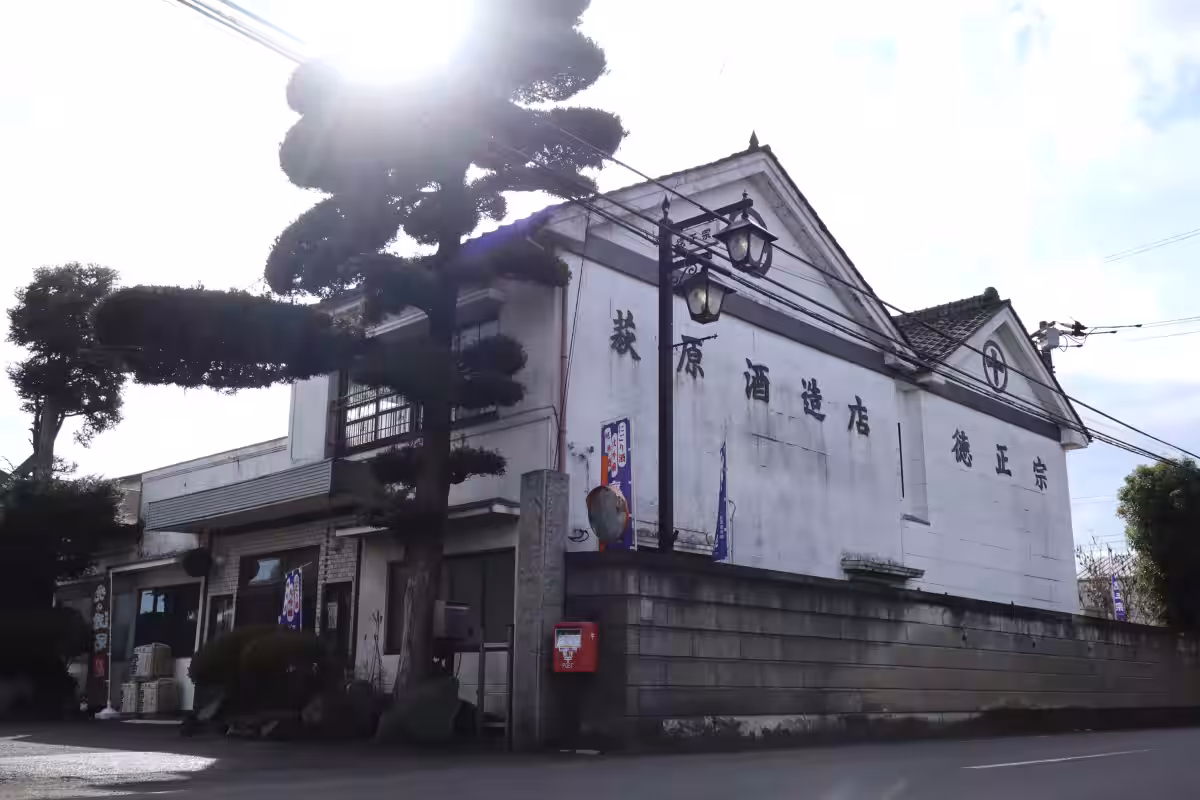 画像8
