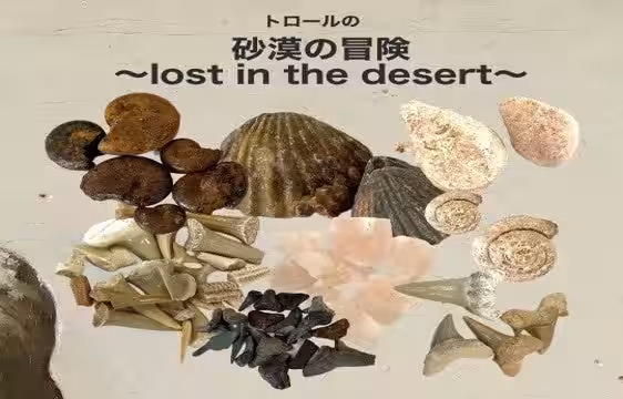 画像8